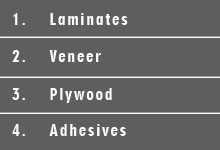 Veneer in indore